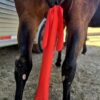 Tail Bags for horse horse tail bags grooming kit mane and tai lcare horse grooming western tail bags lycra tail bags ranch hand (18)