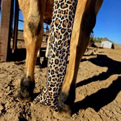 Premium Lycra Tail Bags for Horses - Durable, Stretchable Tail Protection - view 6