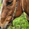 Fire & Ice - Beaded - Browband Headstall - view 3