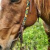 Fire & Ice - Beaded - Browband Headstall - view 2