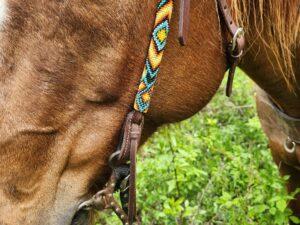 Leather Western Headstall Futurity Knot Browband One Ear Tiedown Noseband Beaded Roughout Tooled Bridles Headstall (105)