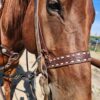 White Buckstitch - Noseband / Tiedown - view 3