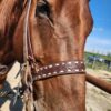White Buckstitch - Noseband / Tiedown - view 5