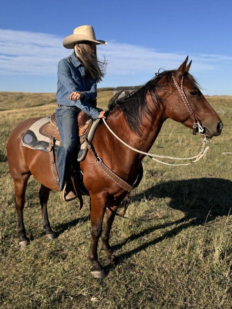 Roughout Breast Collars: Why They are a Game-Changer for Riders & Horses