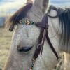 Fire & Ice - Beaded - Browband Headstall
