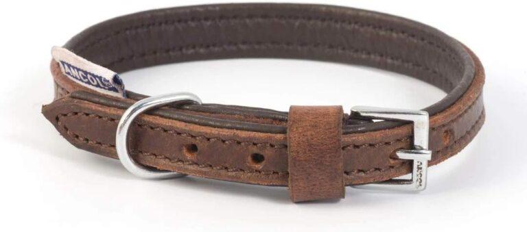 Why Padded Leather Dog Collars Are the Ultimate Choice for Your Canine Companion