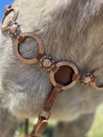 Cactus western horse tack metal ring breast collar and bridle ranchy horse tack cowboy gear weatern horse tack for sale ring set rose gold (12)