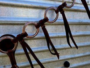 Cactus western horse tack metal ring breast collar and bridle ranchy horse tack cowboy gear weatern horse tack for sale ring set rose gold (23)
