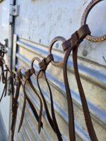 Cactus western horse tack metal ring breast collar and bridle ranchy horse tack cowboy gear weatern horse tack for sale ring set rose gold (25)