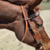 Wild Cactus - Browband Headstall with Cactus Tooling