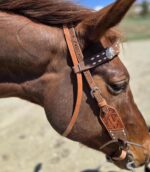 Cactus western horse tack metal ring breast collar and bridle ranchy horse tack cowboy gear weatern horse tack for sale ring set rose gold (7)