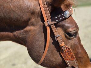Cactus western horse tack metal ring breast collar and bridle ranchy horse tack cowboy gear weatern horse tack for sale ring set rose gold (7)