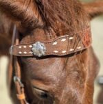 Cactus western horse tack metal ring breast collar and bridle ranchy horse tack cowboy gear weatern horse tack for sale ring set rose gold (8)