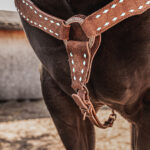 High Country- White Buckstitch Breast Collar with Roughout Leather