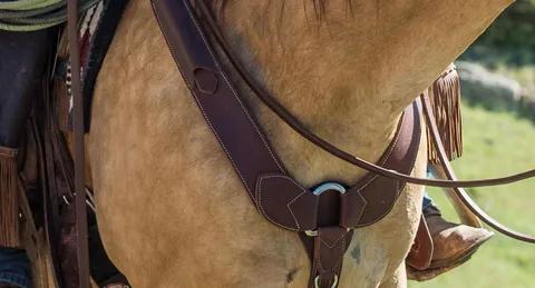 Horse Breast Collars