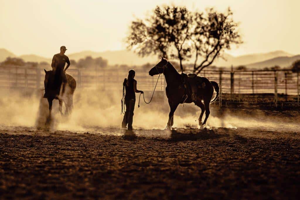 Leather headstall tooled bridle split ear western horse tack wither strap red buckstitch (57) dog collar western dog collar breast collar horse western