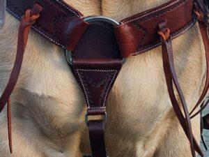 Tooled Breast Collars