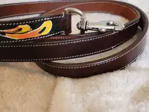 Top Leather Dog Leash Brands in 2025