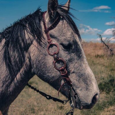handcrafted western leather headstall cowboy style horse bridle romel reins (46)