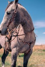 handcrafted western leather headstall cowboy style horse bridle romel reins (47)