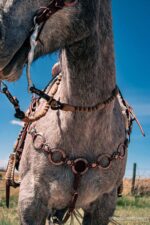 handcrafted western leather headstall cowboy style horse bridle romel reins (53)