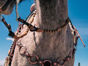 handcrafted western leather headstall cowboy style horse bridle romel reins (53)