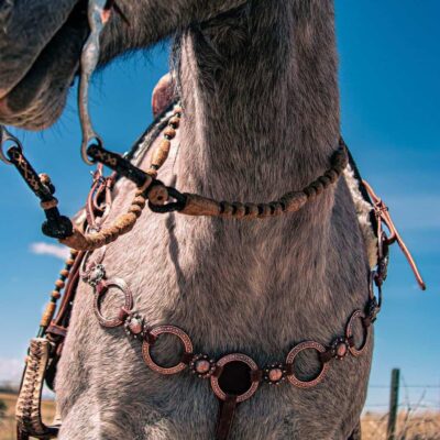 handcrafted western leather headstall cowboy style horse bridle romel reins (53)