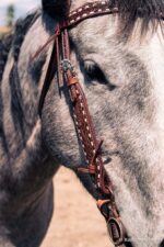 handcrafted western leather headstall cowboy style horse bridle romel reins (55)