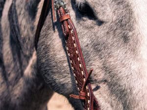 handcrafted western leather headstall cowboy style horse bridle romel reins (55)