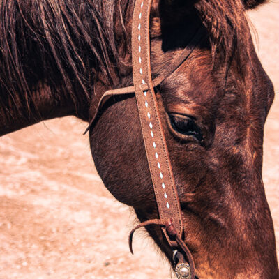 high country white buckstitch split ear