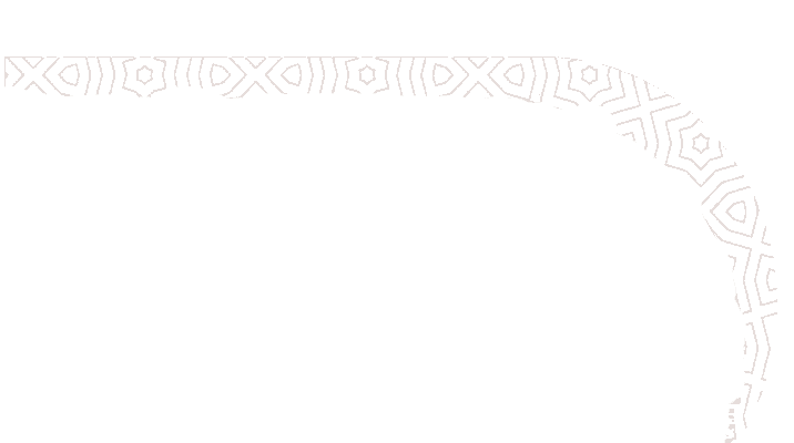 pattern2 extracted transparent (1)