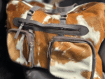 ranch hand Hair On Cowhide Duffel Bag Leather Mens Bag Travel Bag Carry on weekend bag Womens Fashion 19