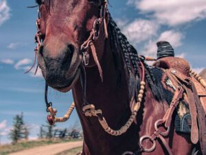 romel reins authentic western headstall for quarter horses handmade leather headstall with conchos and tooling premi (59)