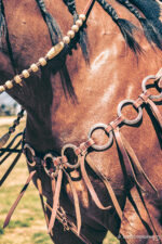 romel reins authentic western headstall for quarter horses handmade leather headstall with conchos and tooling premi (60)