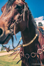 romel reins authentic western headstall for quarter horses handmade leather headstall with conchos and tooling premi (61)