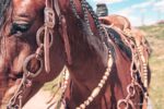 romel reins authentic western headstall for quarter horses handmade leather headstall with conchos and tooling premi (66)