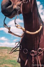 romel reins authentic western headstall for quarter horses handmade leather headstall with conchos and tooling premi (68)