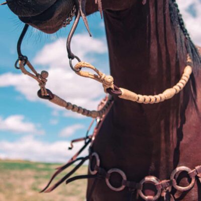romel reins authentic western headstall for quarter horses handmade leather headstall with conchos and tooling premi (68)