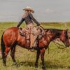 western metal ring breast collar