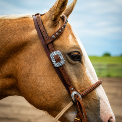 Outlaw Silver Concho One Ear Headstall - view 2