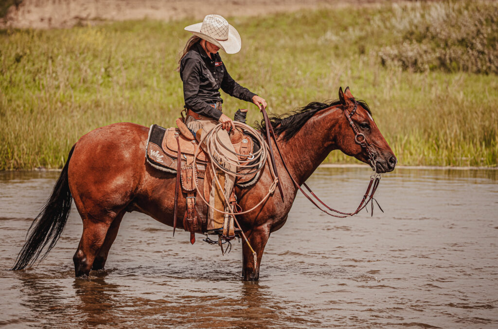 metal ring headstall
