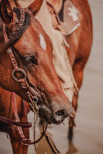 A5rose gold headstall western metal ring bridle