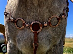 Cactus western horse tack metal ring breast collar and bridle ranchy horse tack cowboy gear weatern horse tack for sale ring set rose gold (21)