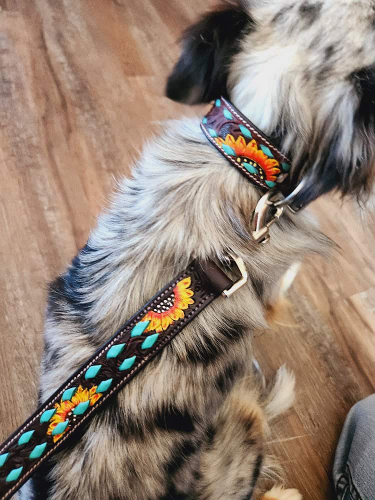 Leather dog collars ranch hand western sunfower dog collars (1)