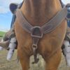The Legend - Roughout Leather Breast Collar - view 5