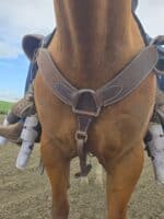 Ranch Hand HEadstall Leather Bridle Western breast collar roughout leather breast collar for sale (1)