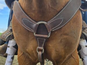 Ranch Hand HEadstall Leather Bridle Western breast collar roughout leather breast collar for sale (2)