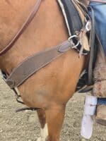 Ranch Hand HEadstall Leather Bridle Western breast collar roughout leather breast collar for sale (3)