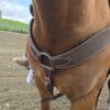 The Legend - Roughout Leather Breast Collar - view 2