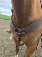 Ranch Hand HEadstall Leather Bridle Western breast collar roughout leather breast collar for sale (6)